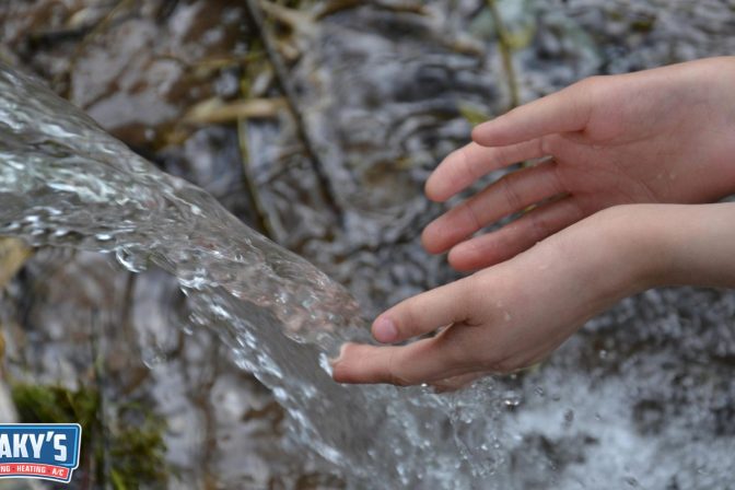 Setting Up Systems That Conserve Water and Support Sustainable Summer Living