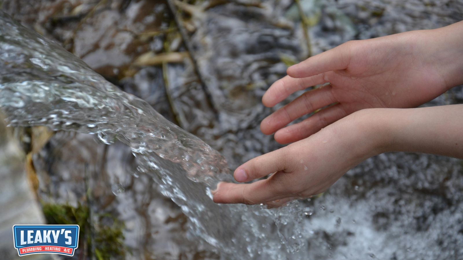 Setting Up Systems That Conserve Water and Support Sustainable Summer Living