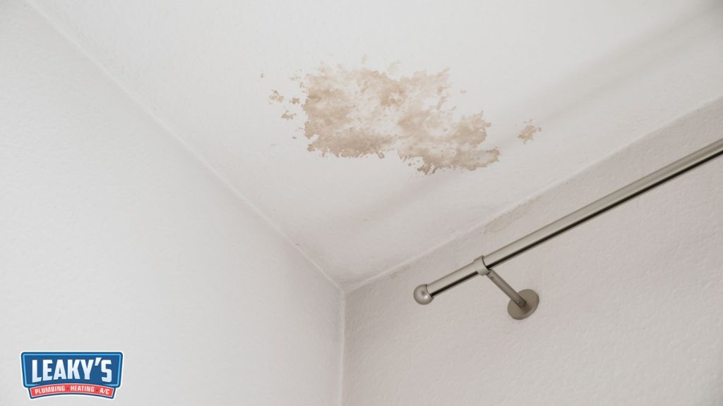Bathroom Leak Detection Preventing Mold and Mildew