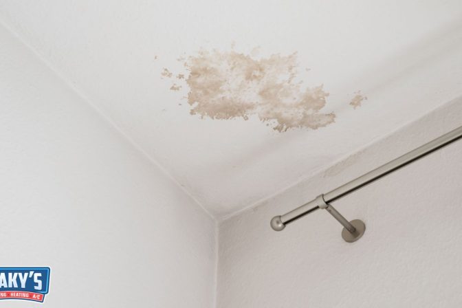 Bathroom Leak Detection: Preventing Mold and Mildew